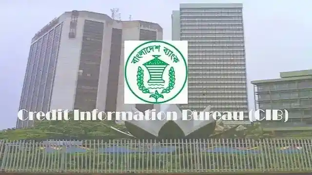 What is a CIB report in Bank? Why CIB report is important for Banks or Financial institutions to disburse loans?
